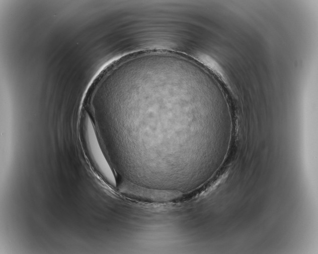 X0000086790924200704271827