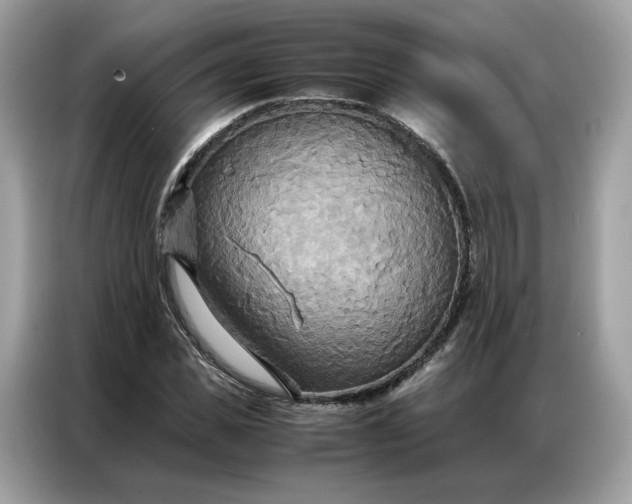 X0000086790925200704271827