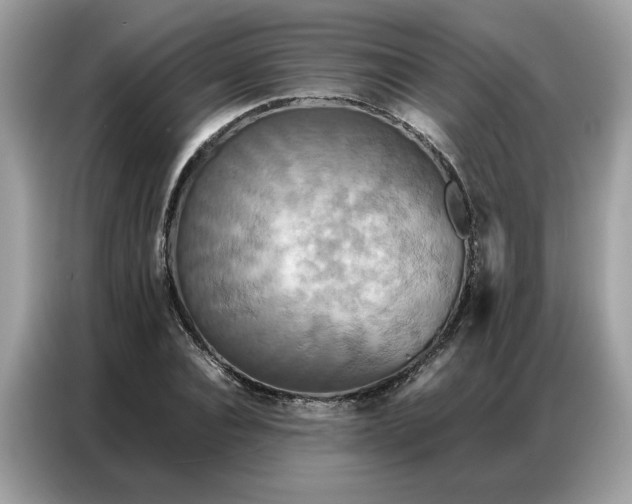 X0000086790928200704271827
