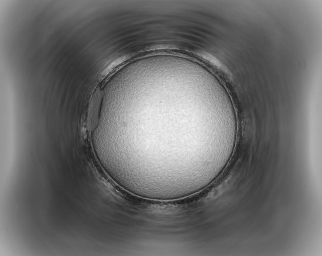 X0000086790929200704271827