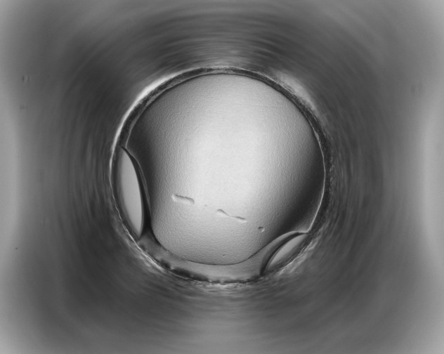 X0000086790932200704271827
