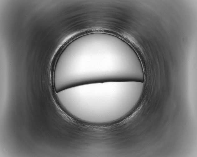 X0000086790934200704271827