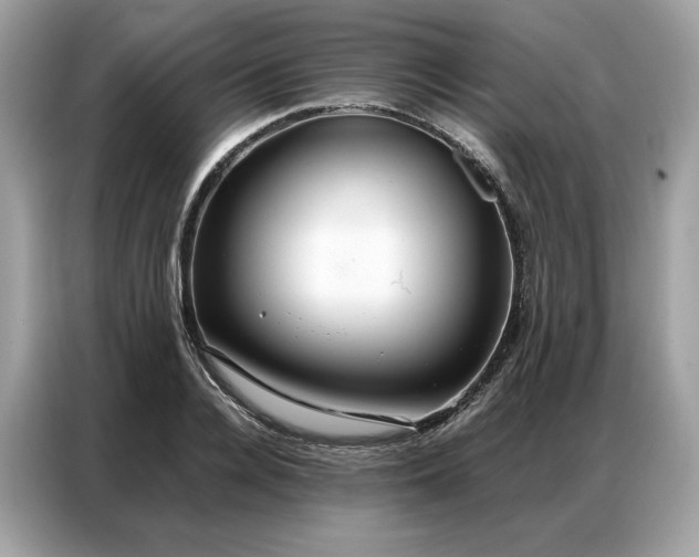 X0000086790936200704271827