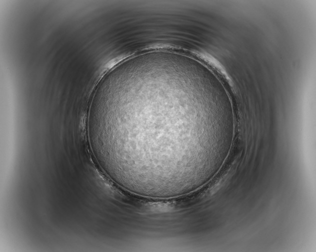 X0000086790937200704271827