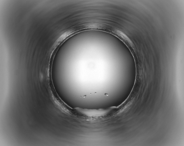 X0000086790938200704271827