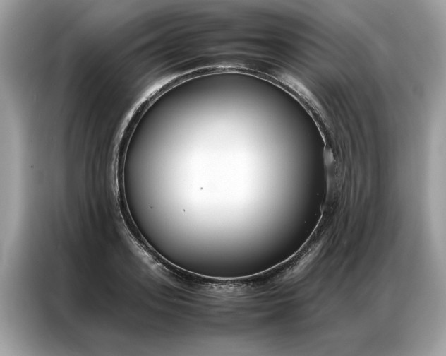 X0000086790939200704271827
