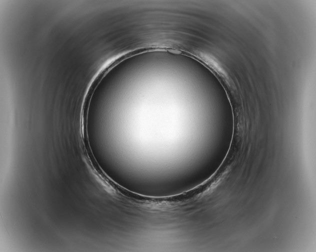 X0000086790940200704271827