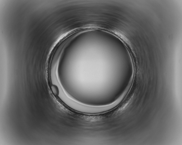 X0000086790941200704271827