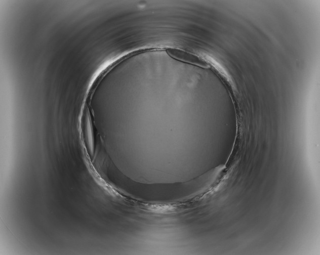 X0000086790944200704271827