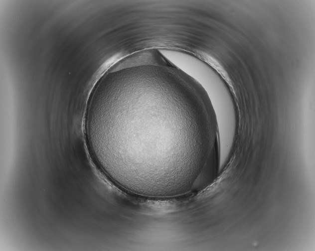 X0000086790946200704271827