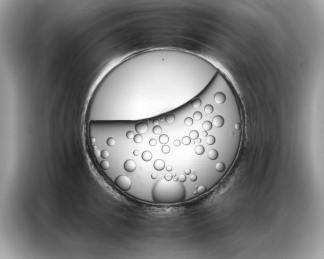 X0000086790949200704271827