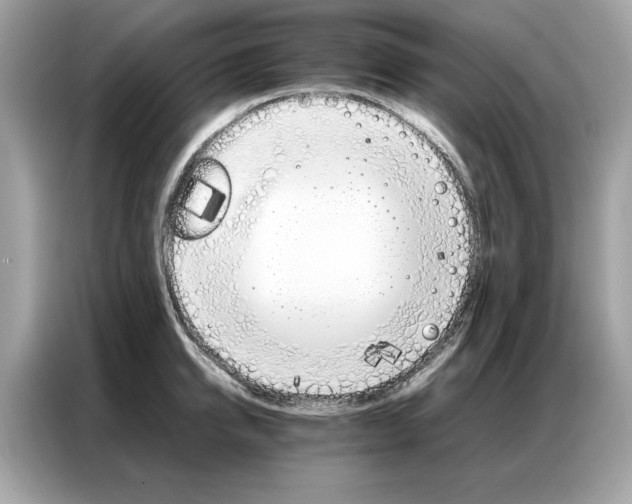 X0000086790950200704271827
