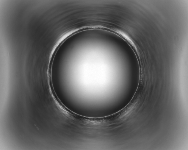 X0000086790951200704271827