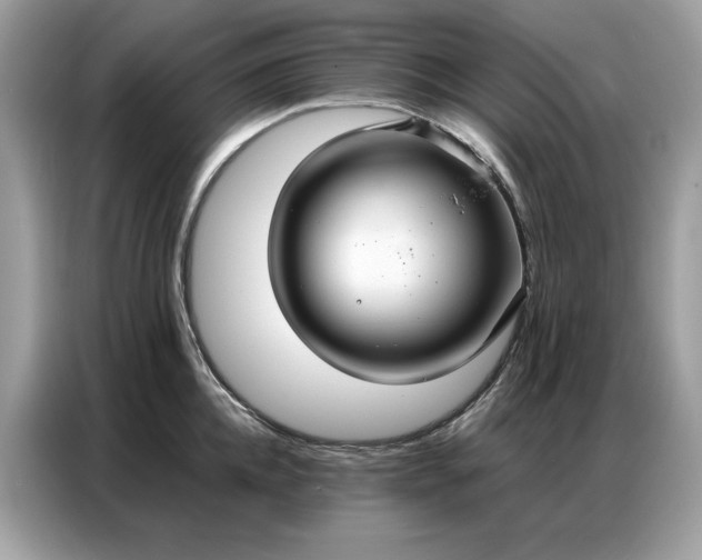 X0000086790952200704271827