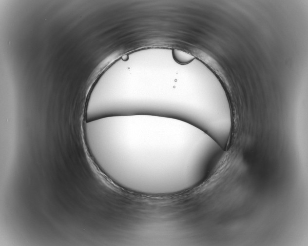 X0000086790954200704271828
