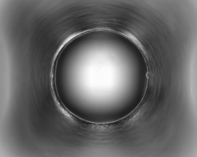 X0000086790955200704271828