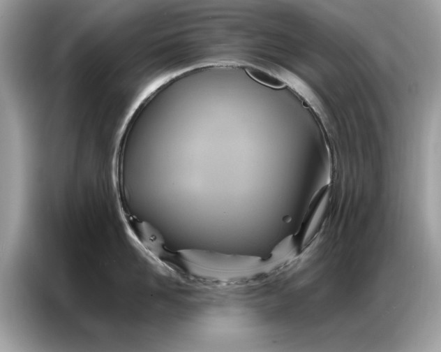 X0000086790958200704271828