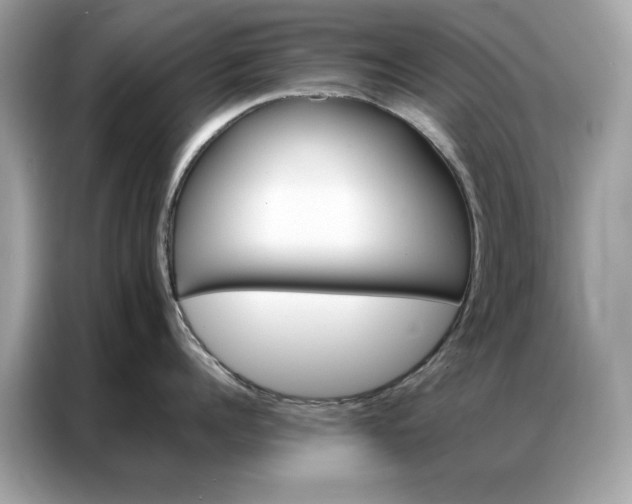 X0000086790960200704271828