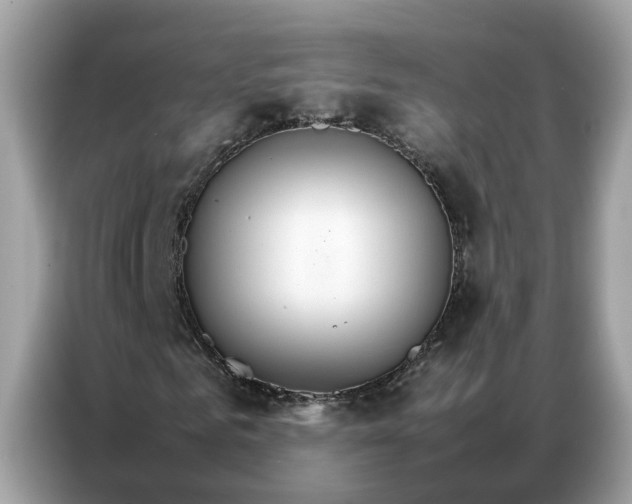 X0000086790961200704271827