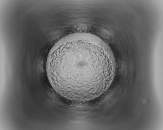 X0000086790962200704271827