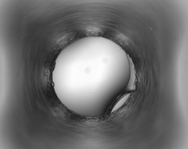X0000086790964200704271827