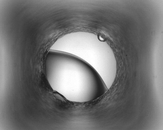 X0000086790965200704271827