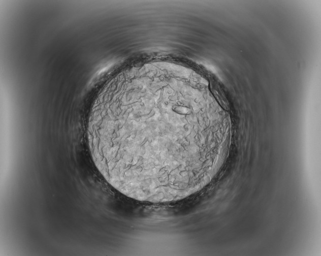 X0000086790967200704271827
