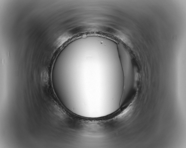X0000086790969200704271827