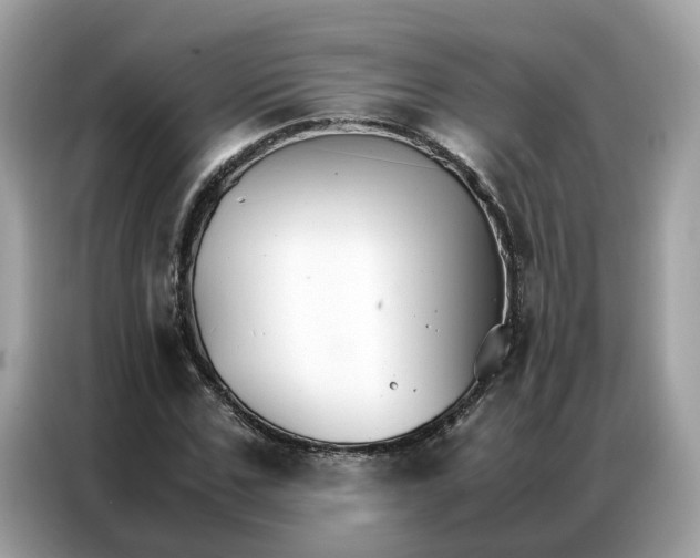 X0000086790971200704271827