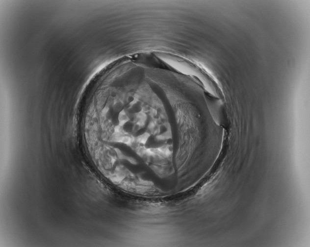 X0000086790975200704271827
