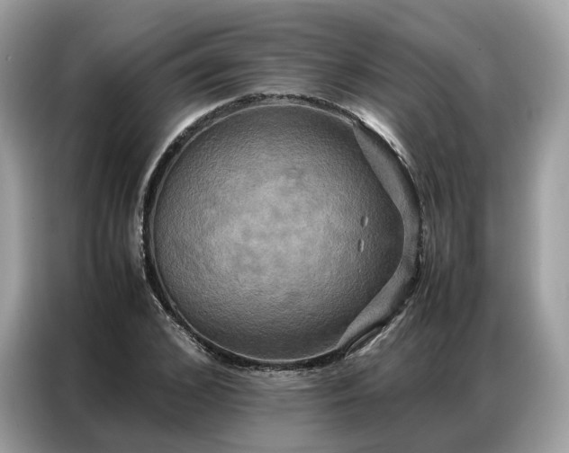 X0000086790976200704271827