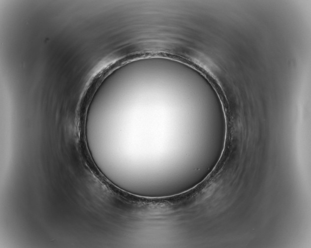X0000086790979200704271827