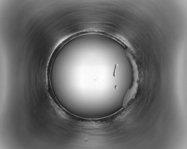 X0000086790980200704271827