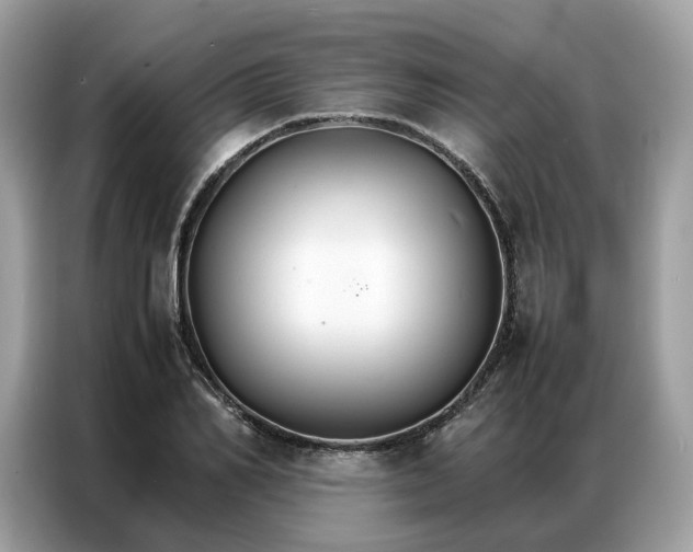X0000086790982200704271827