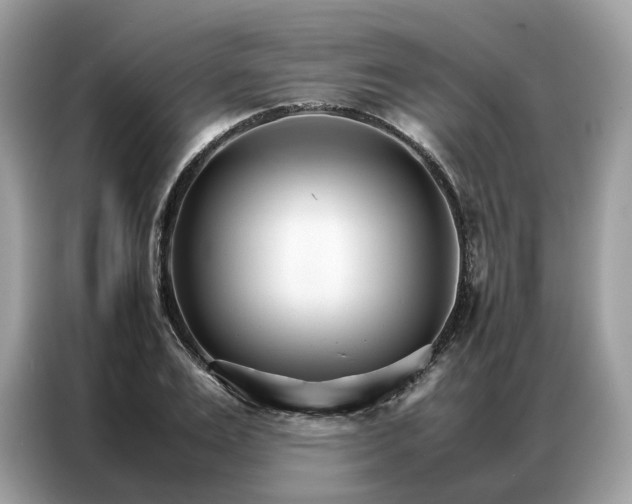 X0000086790983200704271827