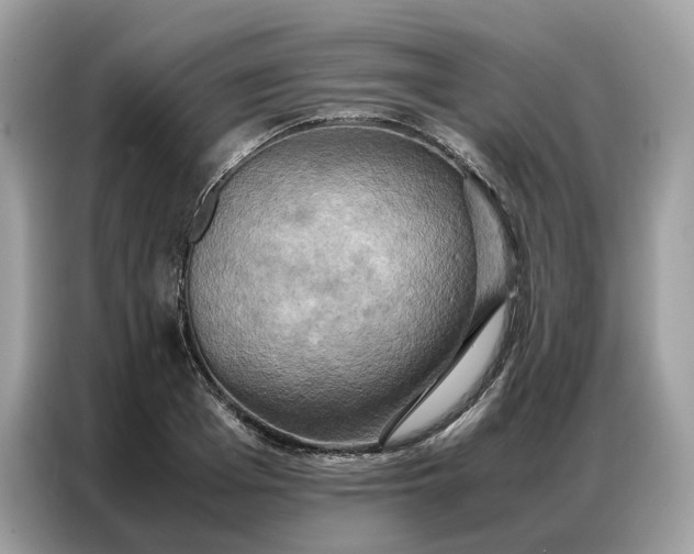 X0000086790985200704271827
