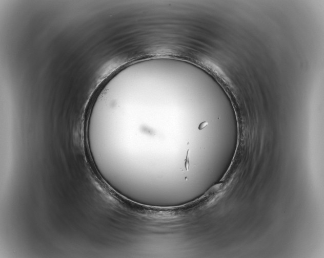 X0000086790986200704271827