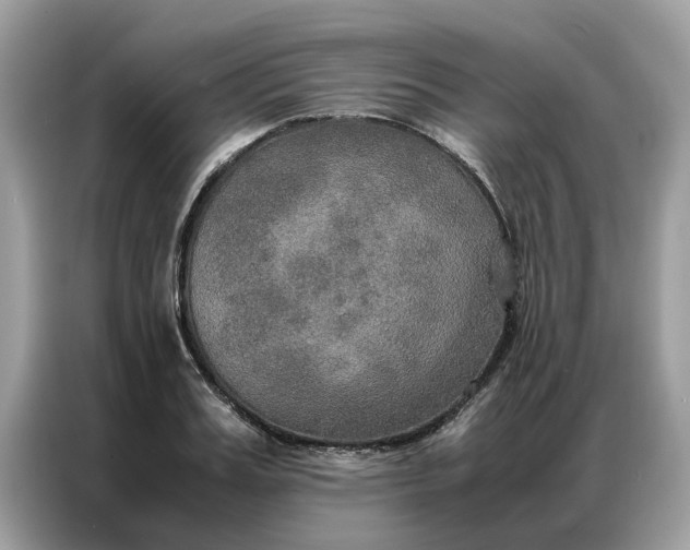 X0000086790987200704271827
