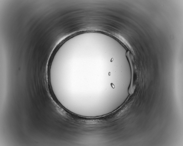 X0000086790988200704271827