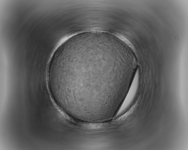 X0000086790989200704271827
