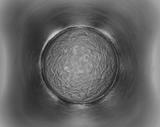X0000086790990200704271827