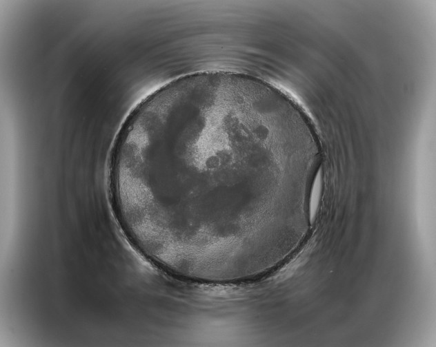 X0000086790991200704271827