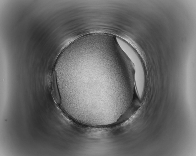 X0000086790993200704271827