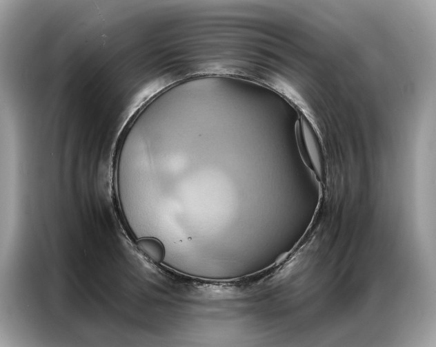 X0000086790994200704271827