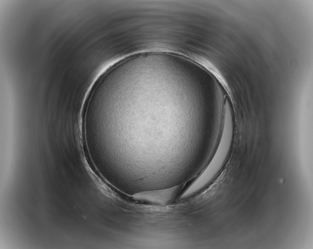 X0000086790996200704271827