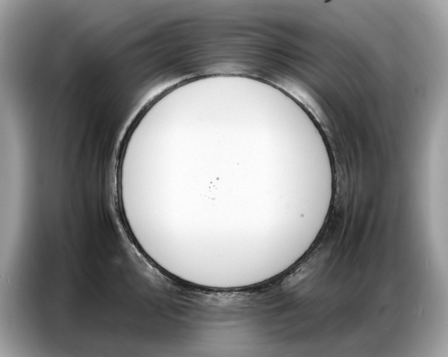 X0000086791000200704271826