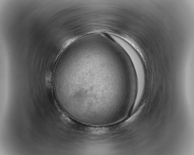 X0000086791001200704271826
