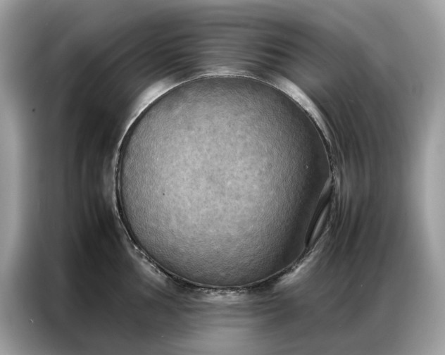 X0000086791002200704271826
