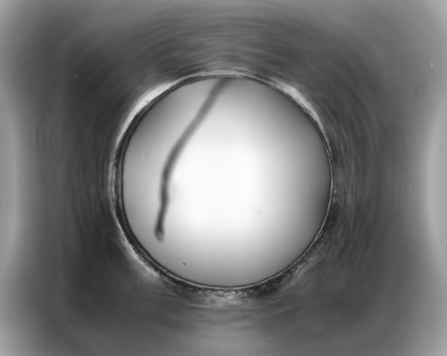 X0000086791003200704271826