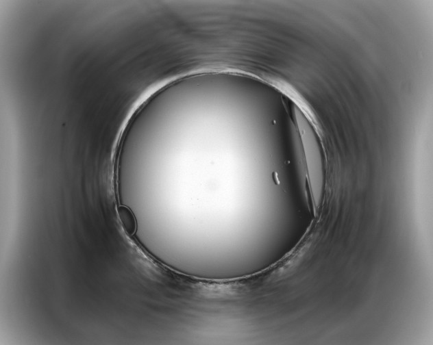 X0000086791004200704271826